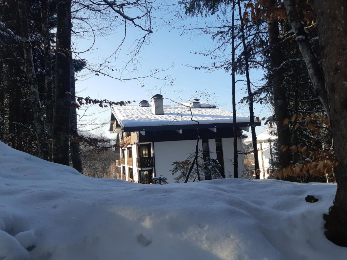 Appartement En Station De Ski A 700 M Des Telecabines Et 100 M Du Centre-Village Ле Каро д'Араш Екстериор снимка